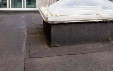 disadvantages of Morden Park flat roofs